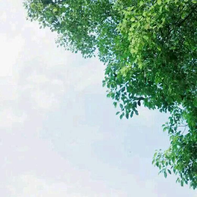 东京（明治维新后故事主要发生地） - 教育课程视频在线观看 - 客户端看电影